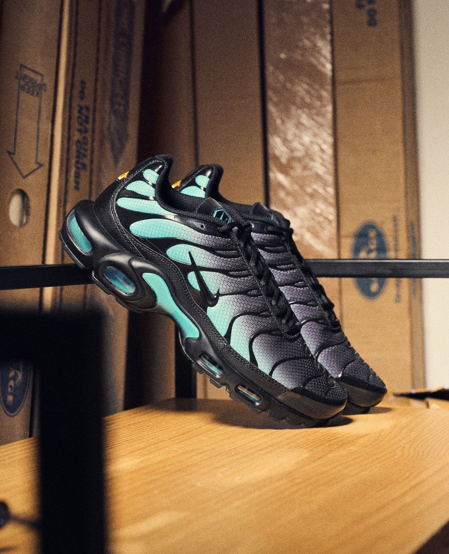 Nike Air Max Plus Black Dusty Cactus