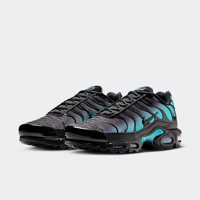 Nike Air Max Plus Black Dusty Cactus
