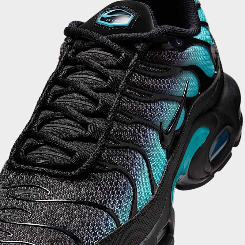 Nike Air Max Plus Black Dusty Cactus