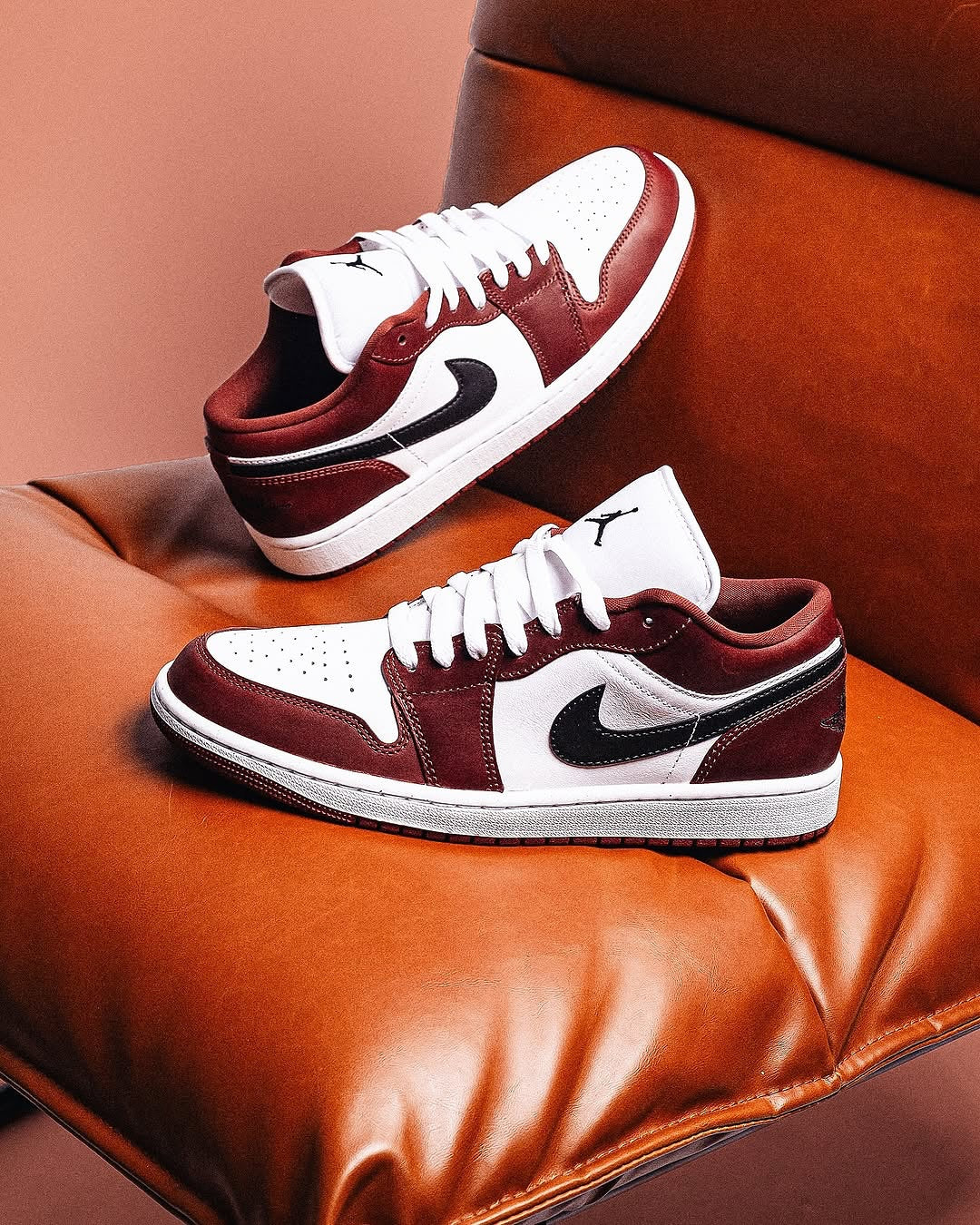 Jordan 1 Low SE Dark Pony