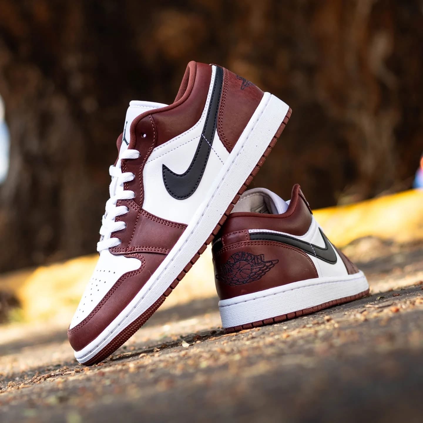 Jordan 1 Low SE Dark Pony