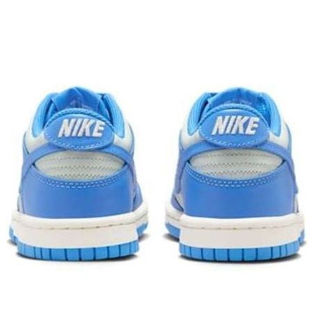 Nike Dunk Low Light Silver Sail Light Photo Blue (GS)