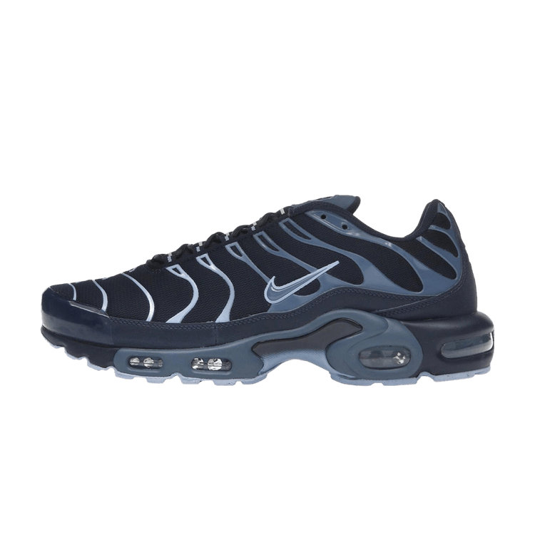 Nike Air Max Plus Obsidian Aluminum
