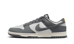 Nike Dunk Low Next Nature Iron Gray Lightning
