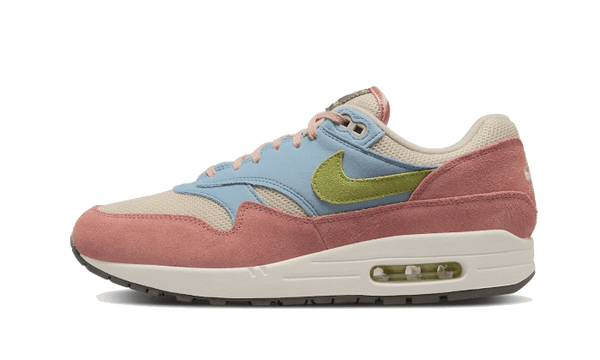 Air Max 1 Light Madder Root - DV3196-800