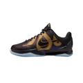 Nike Kobe 5 Year of the Mamba Eggplant (GS)