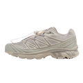 Salomon XT-6 Ghost Grey