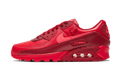 Nike Air Max 90 Chi-City Special