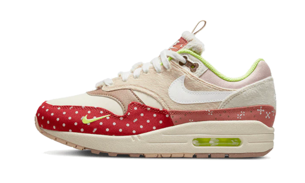 Nike Air Max 1 PRM Woman's Best Friend