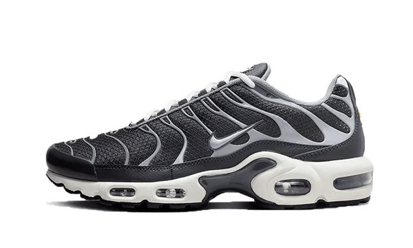 Air Max Plus SE Greyscale Cool Grey - DZ2655-001