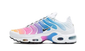 Nike Air Max Plus Summer Gradient