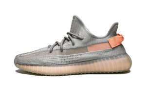 Adidas Yeezy Boost 350 V2 True Form